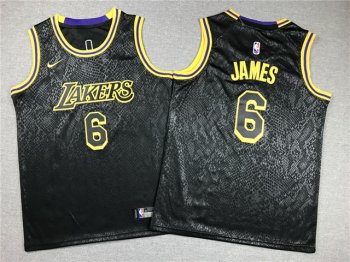 Youth Los Angeles Lakers #6 Lebron James Black City Edition Swingman Jersey